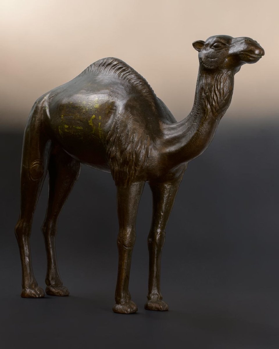 Bronzo Di Dromedario Di Gusto Coloniale - Italia Inizio XX Secolo-photo-4